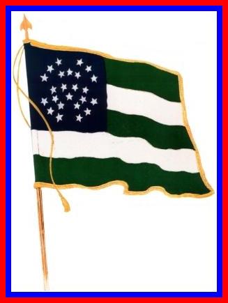 NYPD FLAG MET RAND.jpg (17576 bytes)